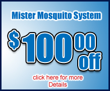 Mister Mosquito