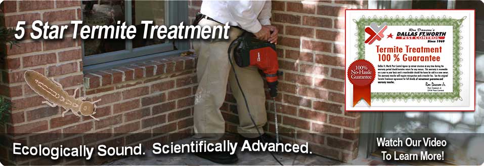 DFW Pest Control 5 Star Termite Treatment